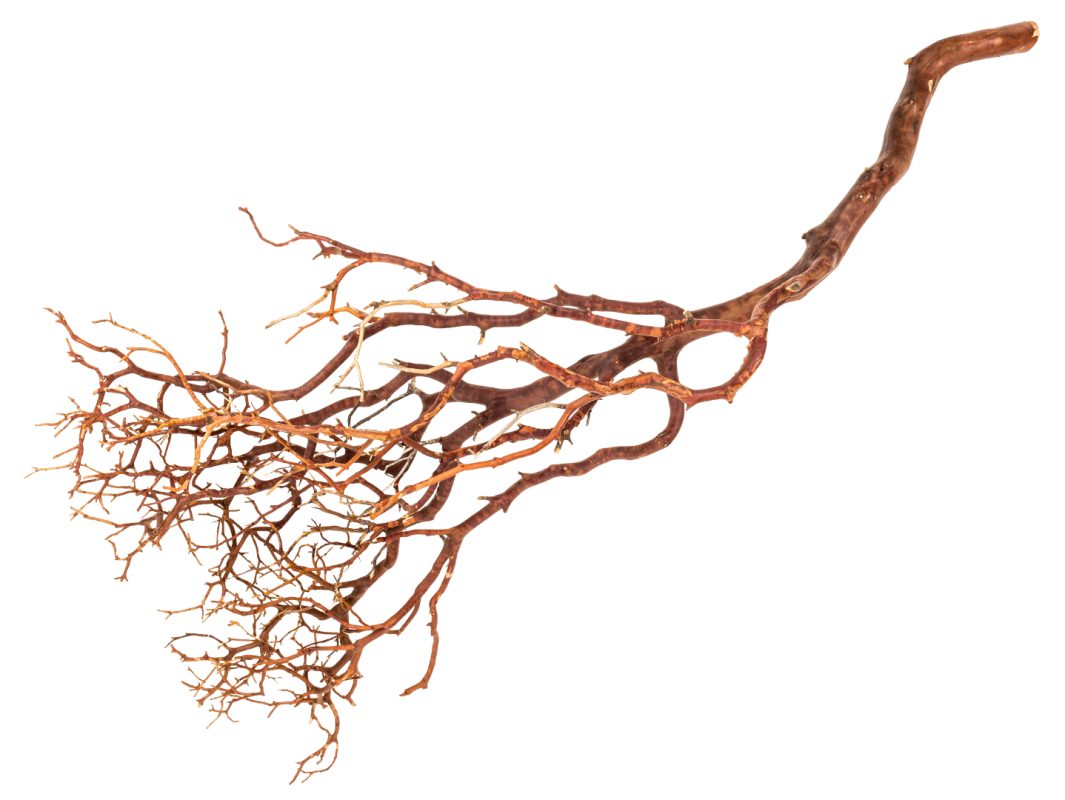 NaDeco Bastelnaturmaterial Manzanita Baum natur ca. 90cm hoch