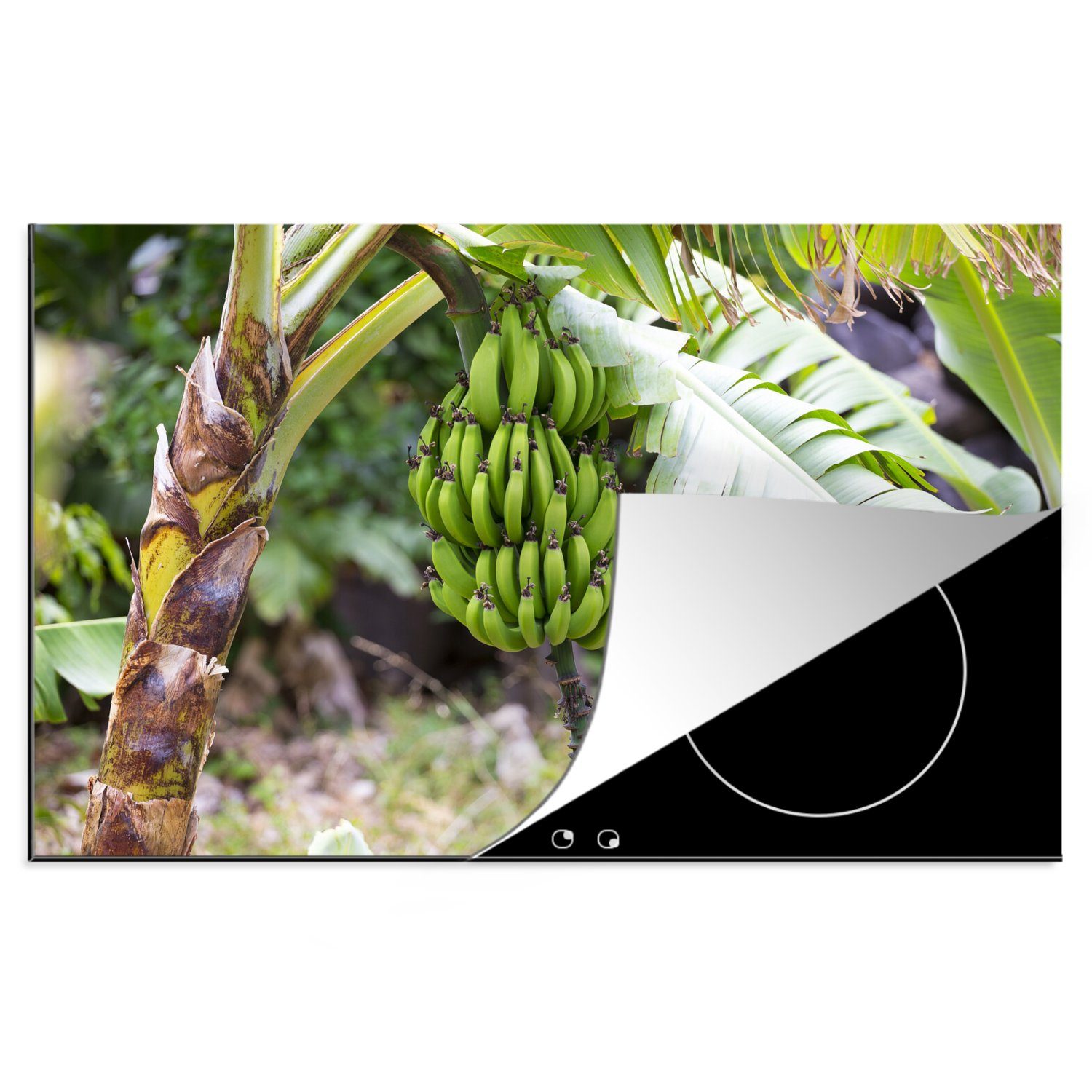 MuchoWow Herdblende-/Abdeckplatte Banane - Pflanze - Baum, Vinyl, (1 tlg), 81x52 cm, Induktionskochfeld Schutz für die küche, Ceranfeldabdeckung