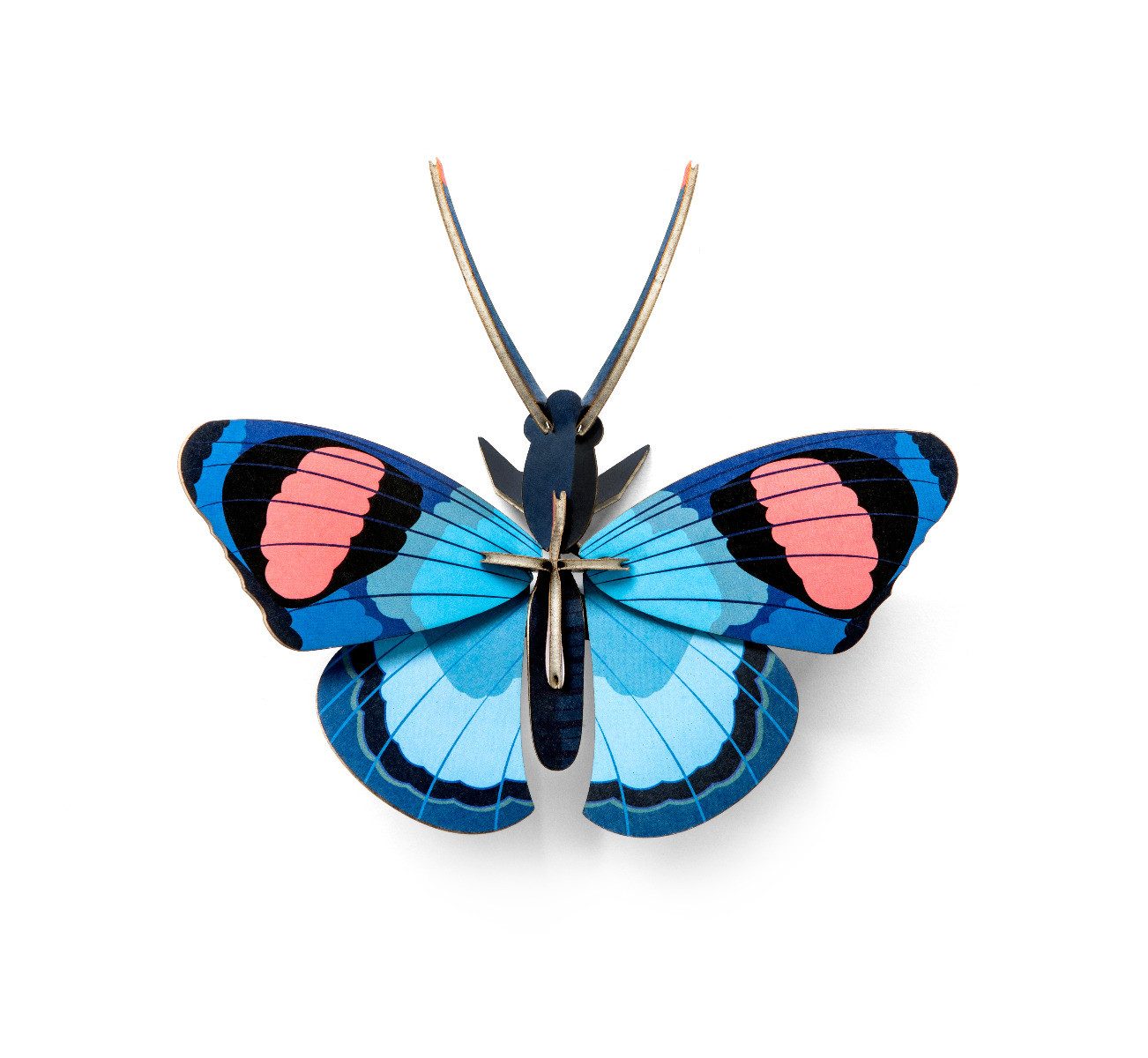 studio ROOF Wanddekoobjekt 3D Pfauenaugen Schmetterling (1 St), Zum Zusamme günstig online kaufen