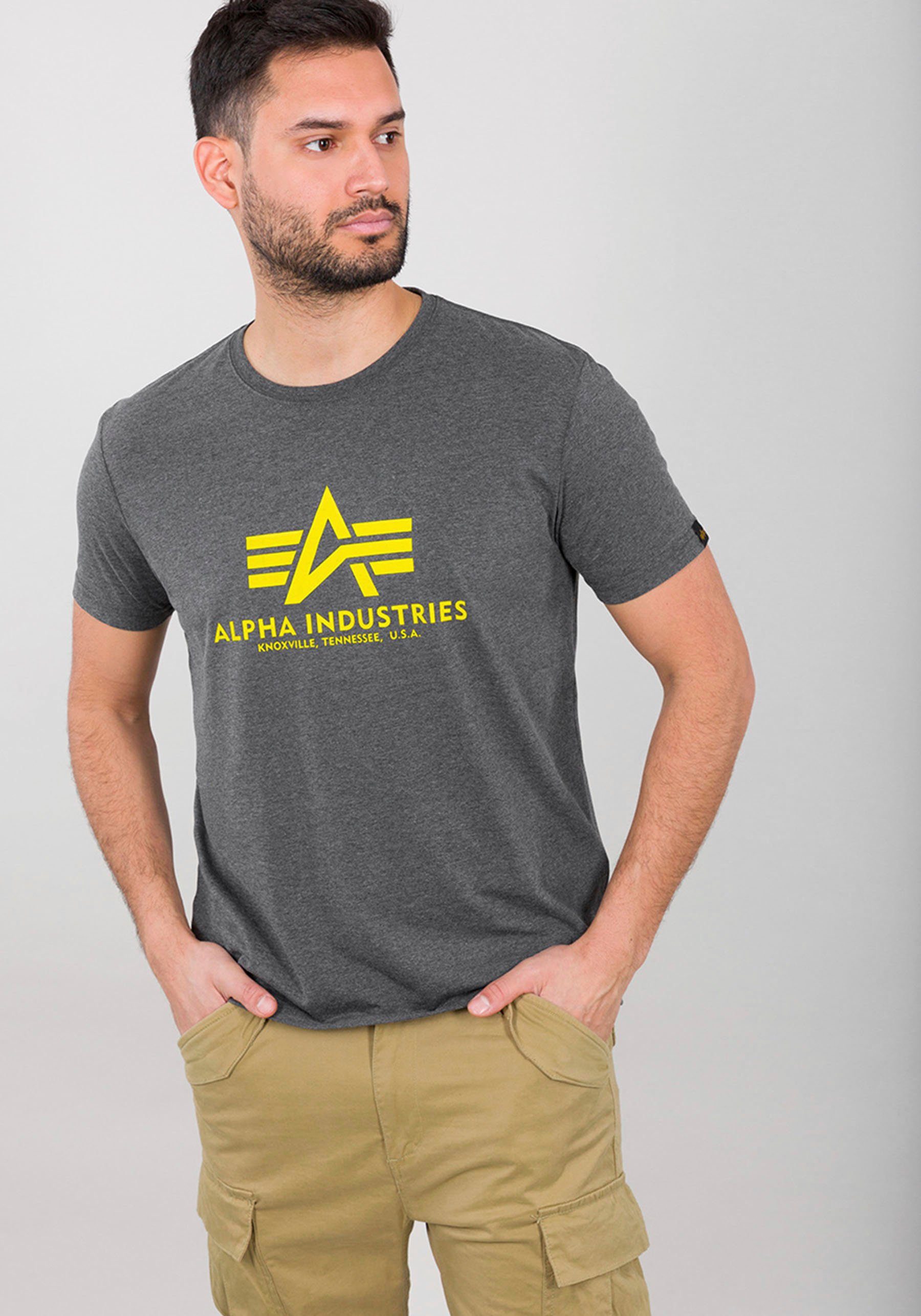 Alpha Industries T-Shirt Basic T-Shirt charcoal heather