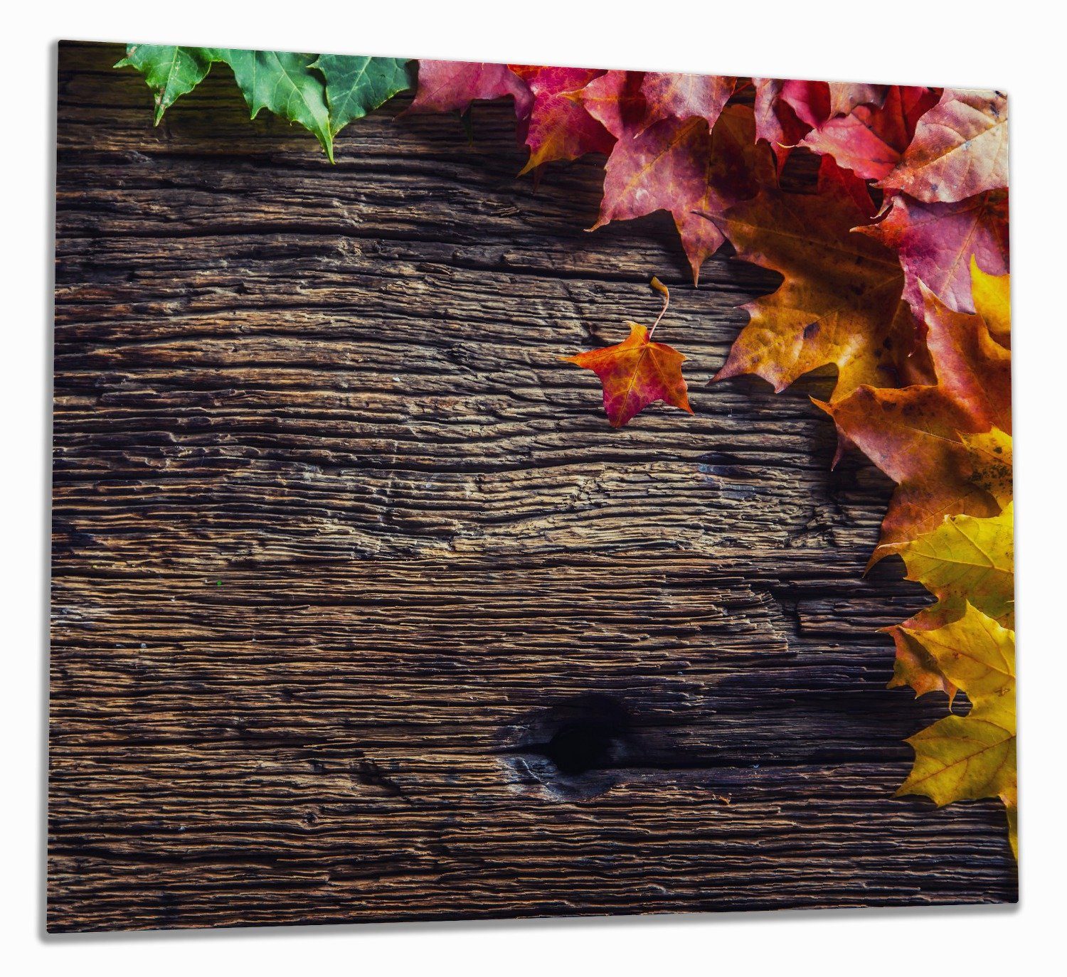 Wallario Herd-Abdeckplatte Herbstblätter auf altem Holz, ESG-Sicherheitsglas, (Glasplatte, 1 tlg., inkl. 5mm Noppen), verschiedene Größen | Herdabdeckplatten