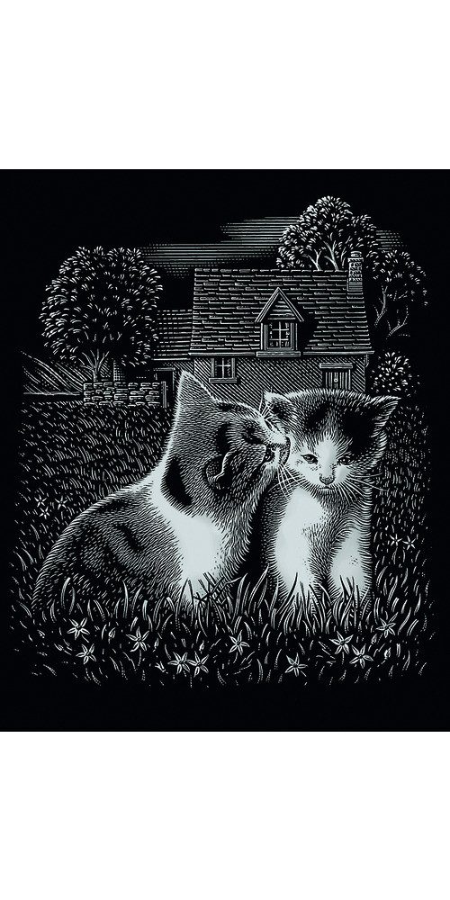 MAMMUT Spiel und Geschenk Kunstdruck Kätzchen, Silber, 20 x 25 cm