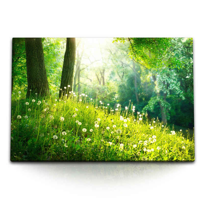 Sinus Art Leinwandbild 120x80cm Wandbild auf Leinwand Grüne Wiese am Waldrand Natur Pusteblum, (1 St)