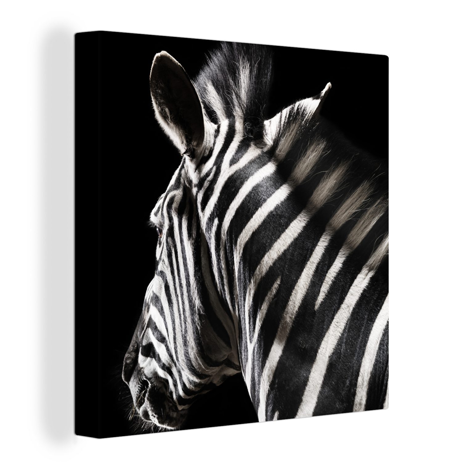 OneMillionCanvasses® Leinwandbild Zebra - Wilde Tiere - Muster, (1 St), Leinwand Bilder für Wohnzimmer Schlafzimmer bunt
