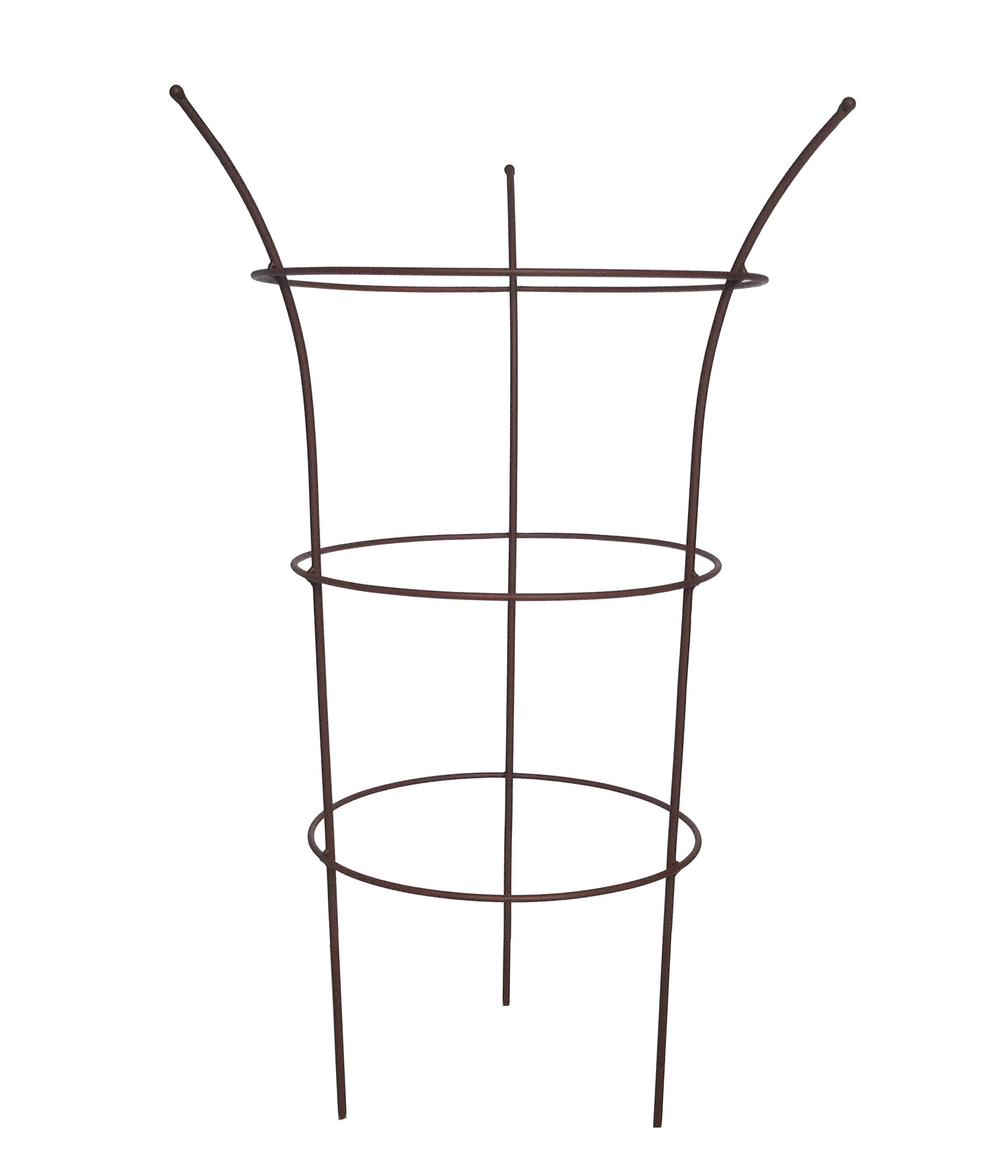 Dehner Rosenbogen Kletterhilfe Chester, antike Rost-Optik, Ø 50 cm, Höhe 70 cm, Eisen, robuste Rankhilfe für Kletterpflanzen, frostbeständig
