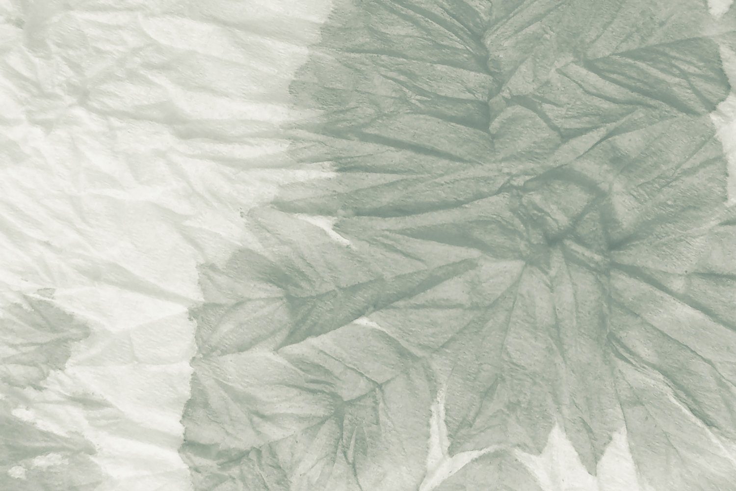 queence Küchenrückwand Palmen - Pflanzen - Floral - Spritzschutz Wandschutz für Herd & Spüle, (1-tlg), 60x40x0,3 cm - Hitzebeständig - Herdspritzschutz - Alu-Dibond