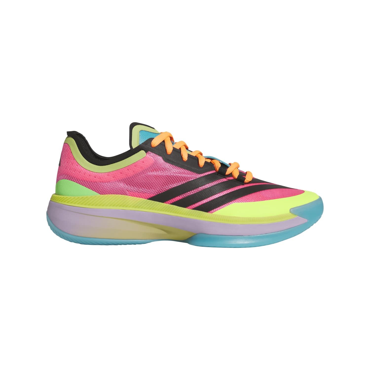 adidas Performance Hallen-Indoorschuhe Adizero Select 3.0 (Basketball) bunt Herren Badmintonschuh