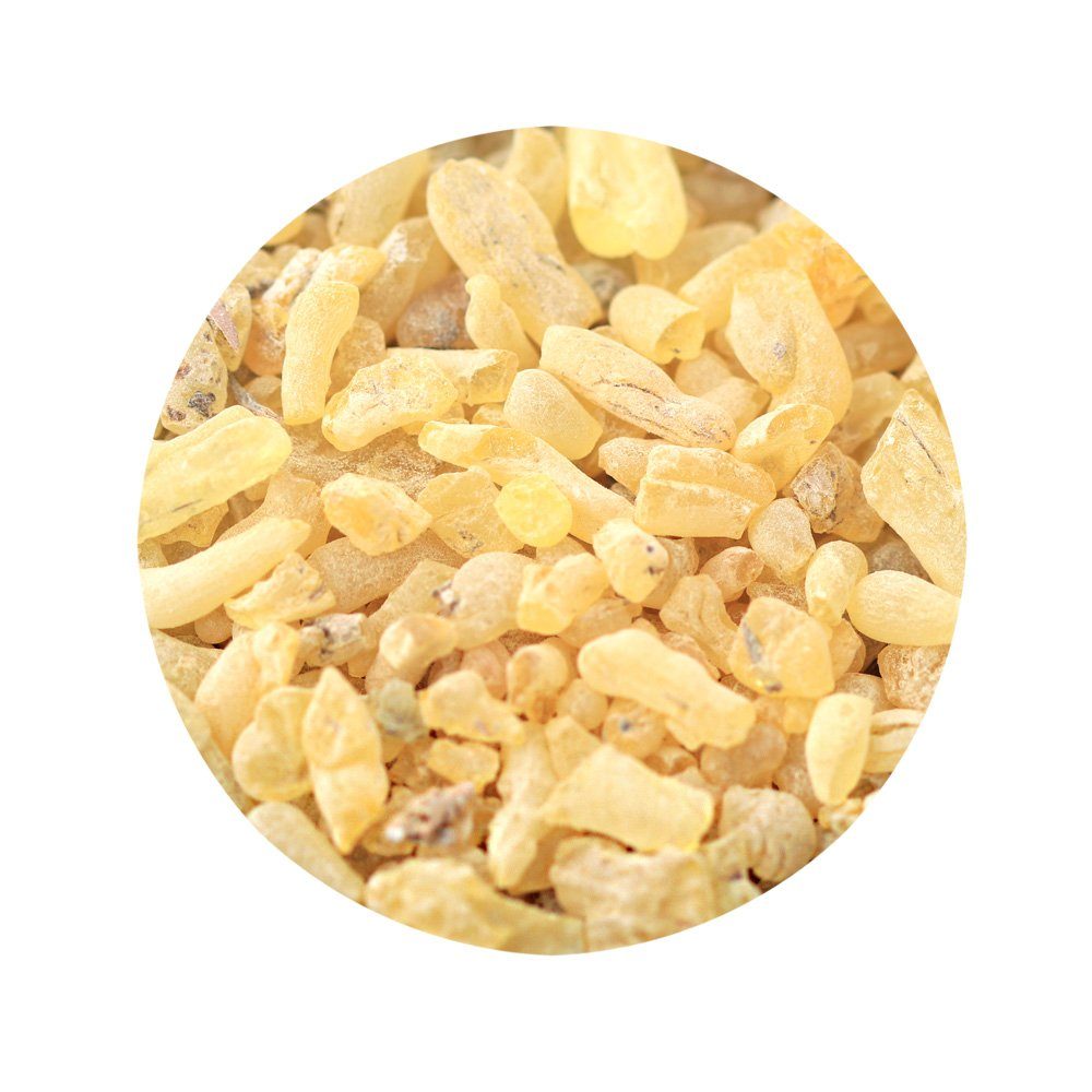 NKlaus Räucherschale 100g Sandarak reines Baumharz Sandaraca Resina, Räucherwerk