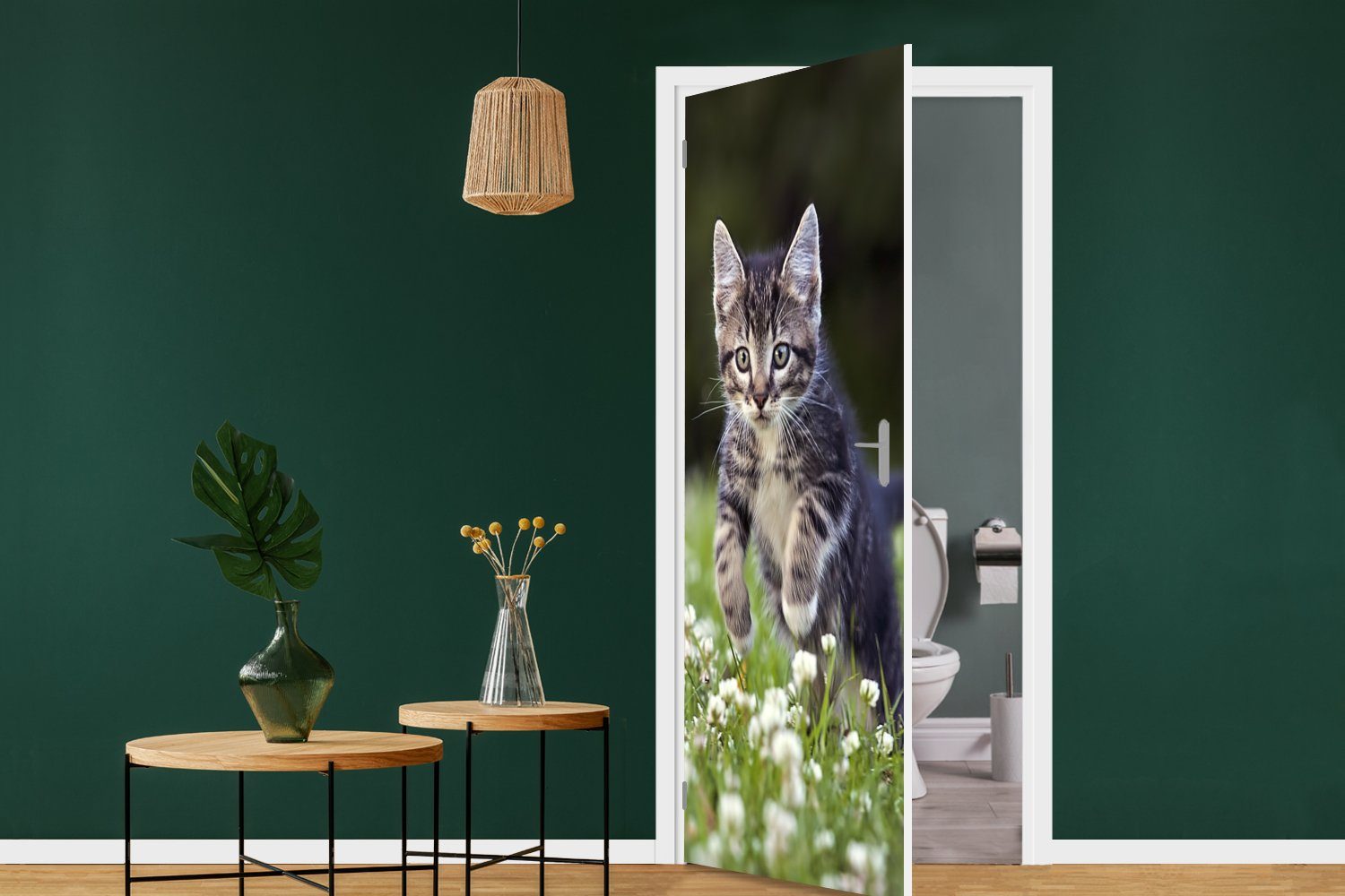 Türtapete Tür, Türaufkleber, St), Kätzchen für Kleefeld, in Matt, bedruckt, einem (1 Fototapete cm MuchoWow 75x205 Ein