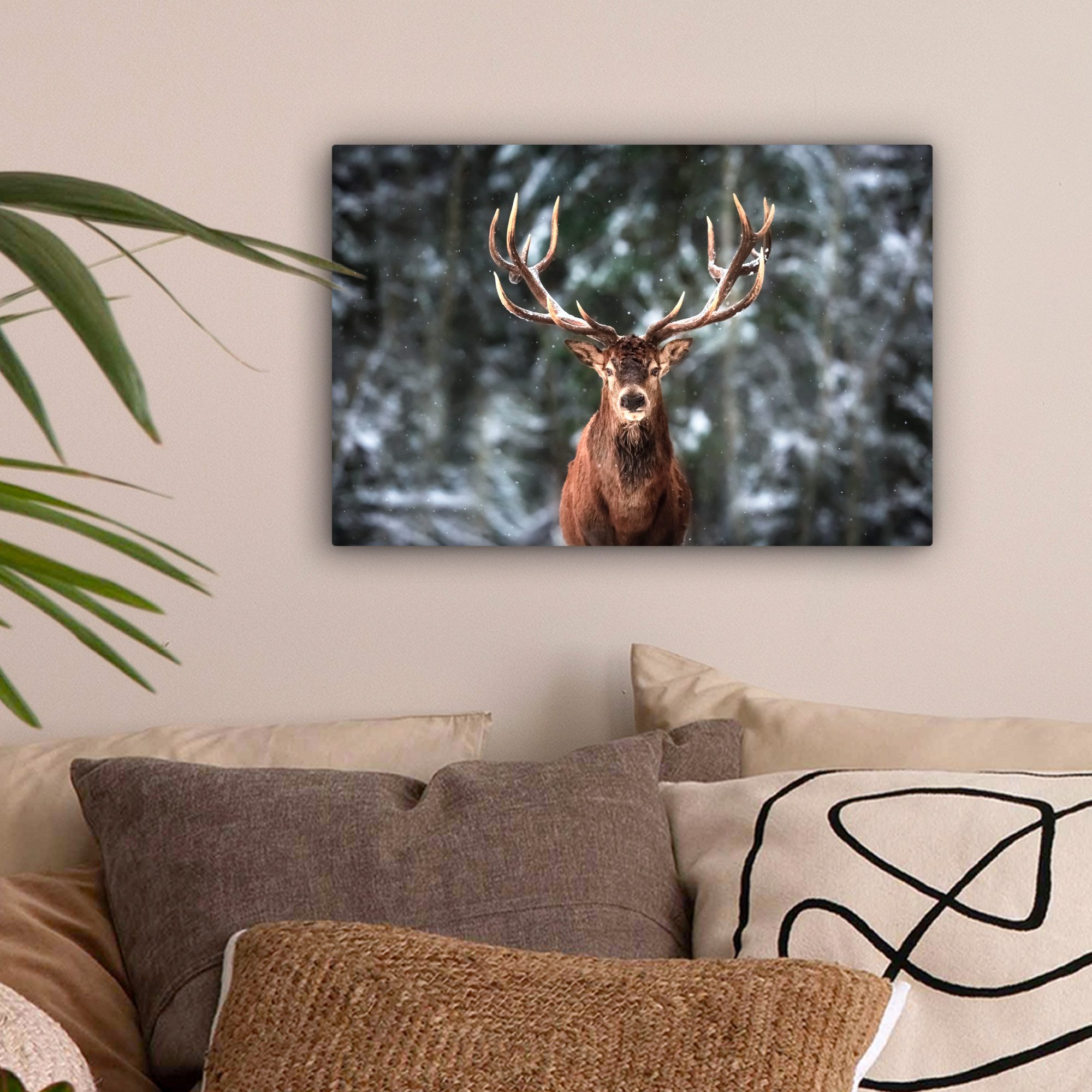 OneMillionCanvasses® Leinwandbild Rotwild - Winter - Schnee - Wald - Natur günstig online kaufen