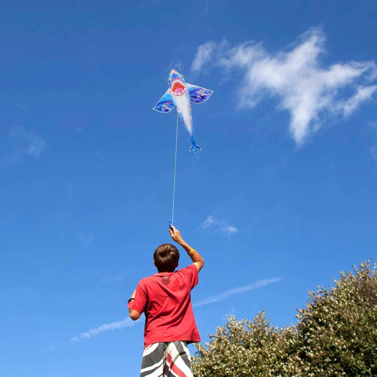 LuxusKollektion Flug-Drache Kinderdrachen Flugdrachen für Outdoor, leicht zu fliegen & perfekt für
