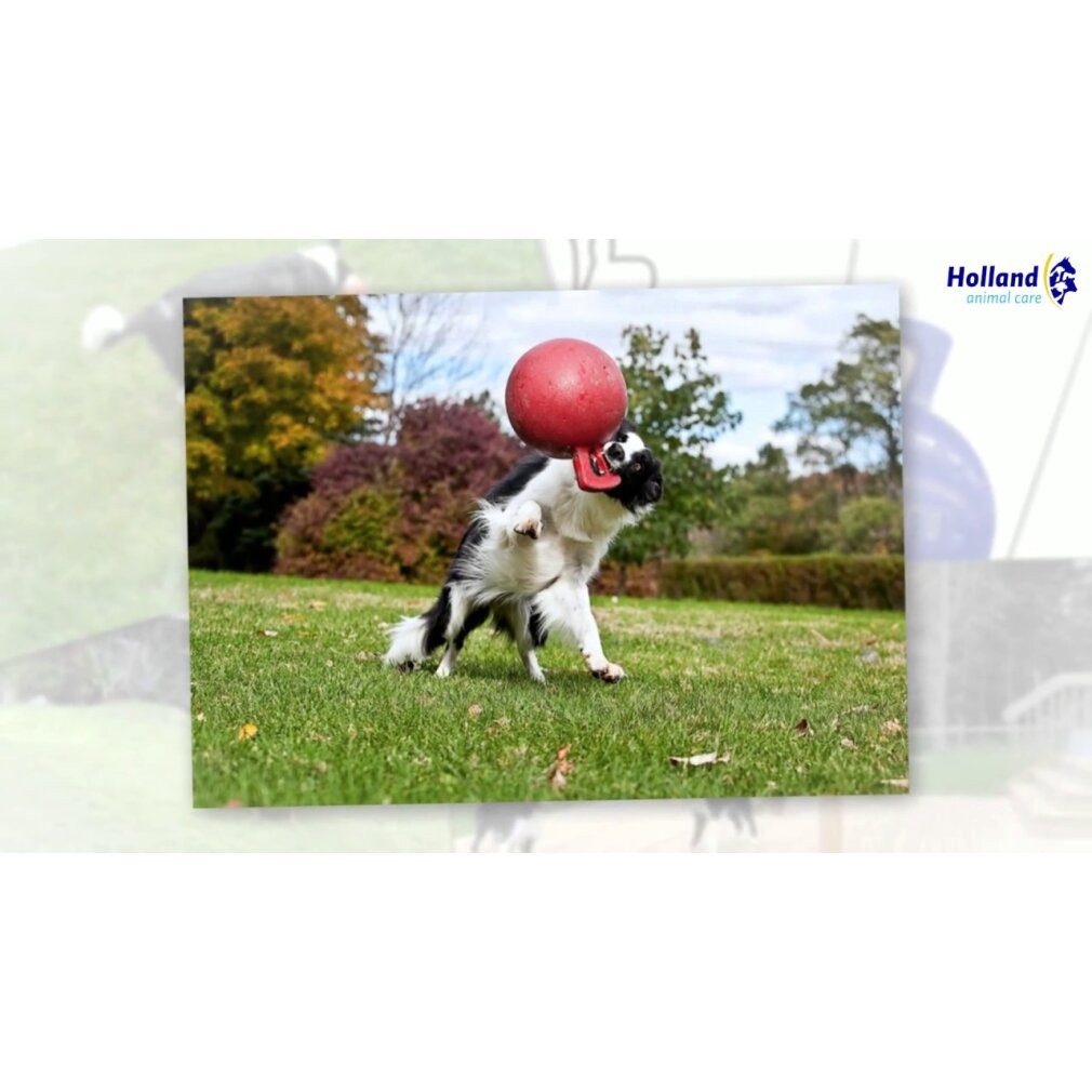 Jolly Pets Tierquietschie Jolly Tug-n-Toss Helllila XL (25 cm)