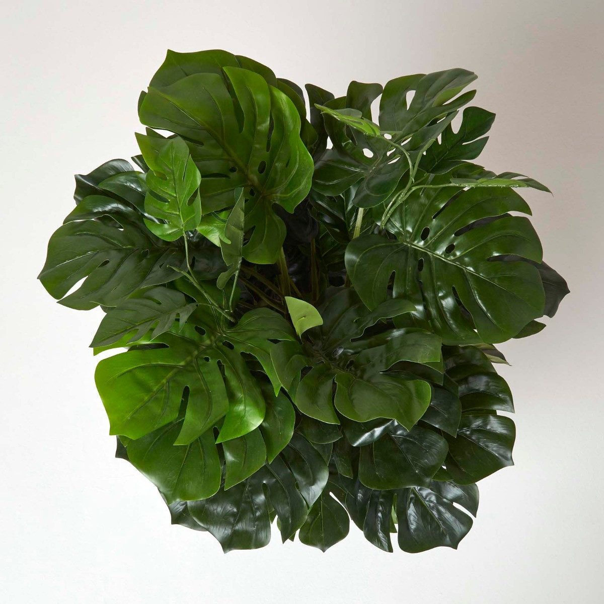 Kunstbaum Monstera Kunstpflanze mit Stab im günstig online kaufen