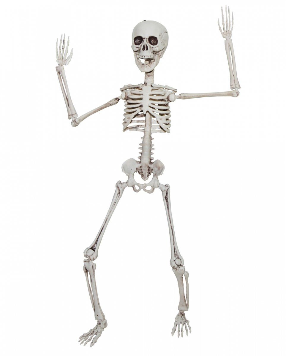 Horror-Shop Dekofigur Verstellbares Skelett als Knochengerippe 50cm