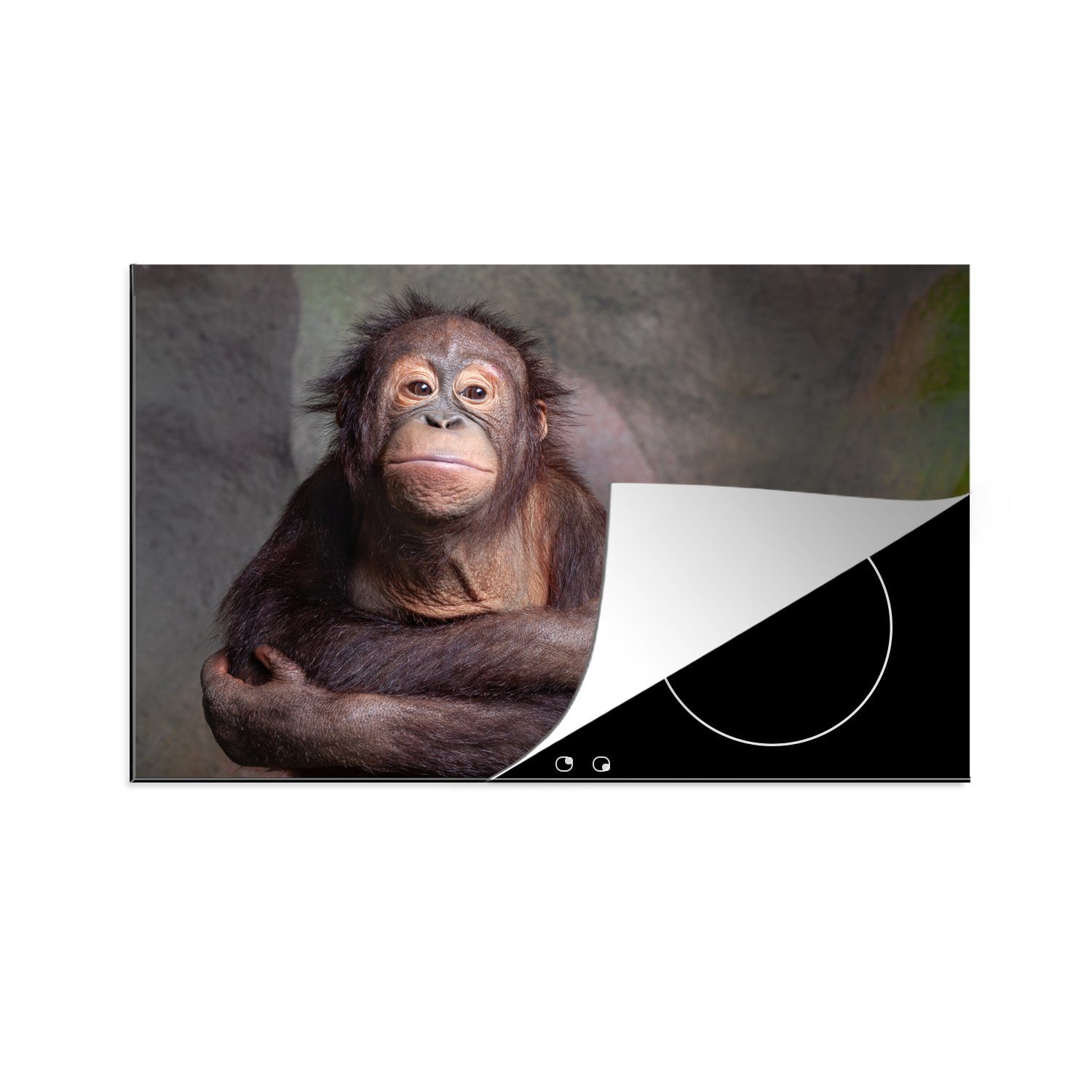 MuchoWow Herdblende-/Abdeckplatte Der Affe umarmt sich selbst, Vinyl, (1 tlg), 81x52 cm, Induktionskochfeld Schutz für die küche, Ceranfeldabdeckung