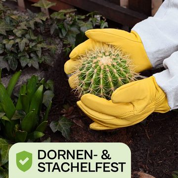 Praknu Gartenhandschuhe Praknu Rosenhandschuhe Dornenfest M (Packung) EN 388 Zertifiziert - Verstellbare Manschetten - Leder