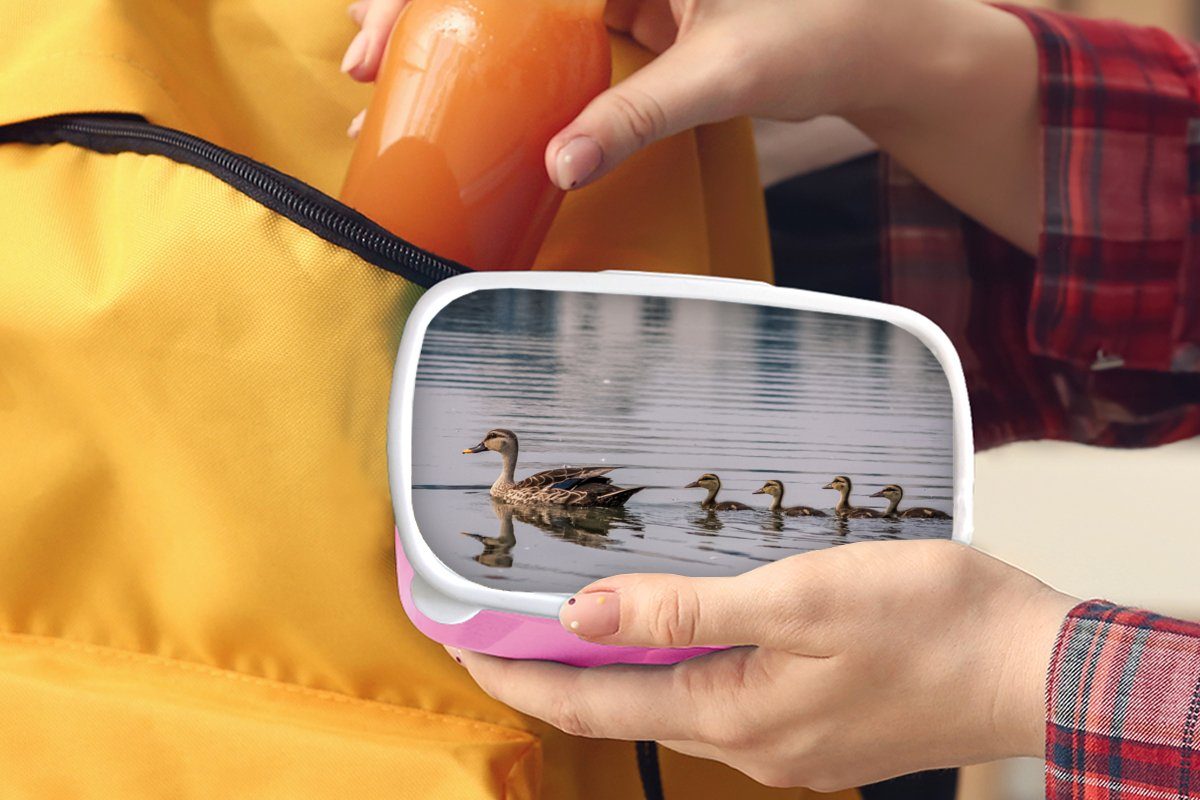 Braun, für Ente Kinder, MuchoWow Lunchbox (2-tlg), Kunststoff Vogel Wasser - Erwachsene, - - Kunststoff, Mädchen, rosa Snackbox, Brotdose Brotbox