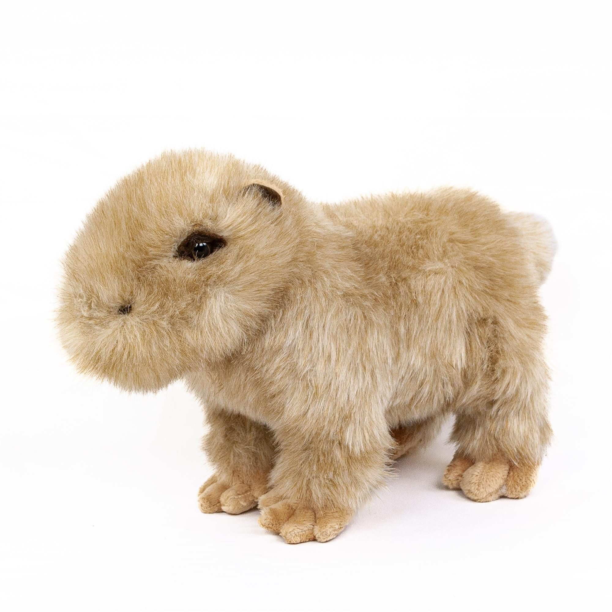 Teddys Rothenburg Kuscheltier Wasserschwein stehend 30 cm Capybara Plüschtier (Stofftier, Plüschcapybara, Stoffwasserschwein, Plüschwasserschwein)