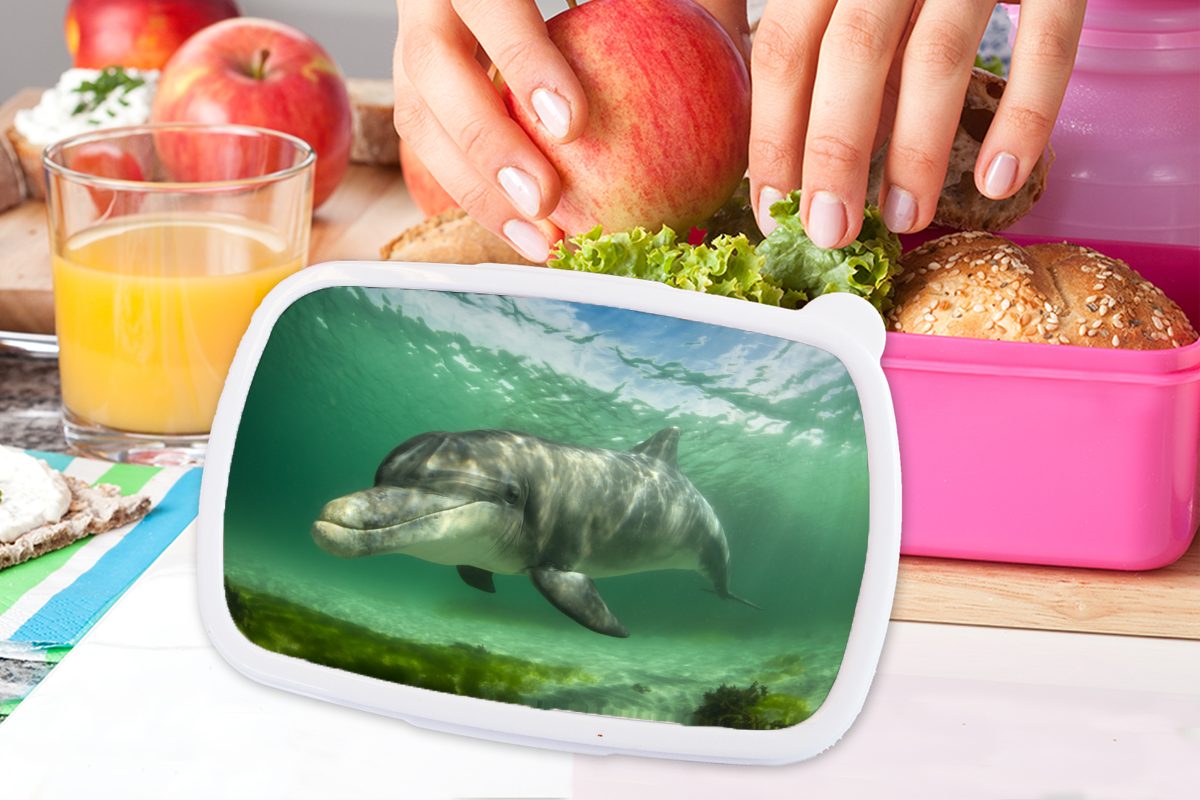 Kunststoff, MuchoWow - (2-tlg), Brotdose rosa Kunststoff Brotbox - für Tiere Lunchbox Mädchen, Wasser, Erwachsene, Delfin Kinder, Snackbox,