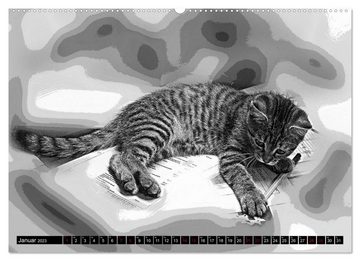 CALVENDO Wandkalender Katzen Pop Art in s/w - Kleine Tiger unter uns (Premium, hochwertiger DIN A2 Wandkalender 2023, Kunstdruck in Hochglanz)