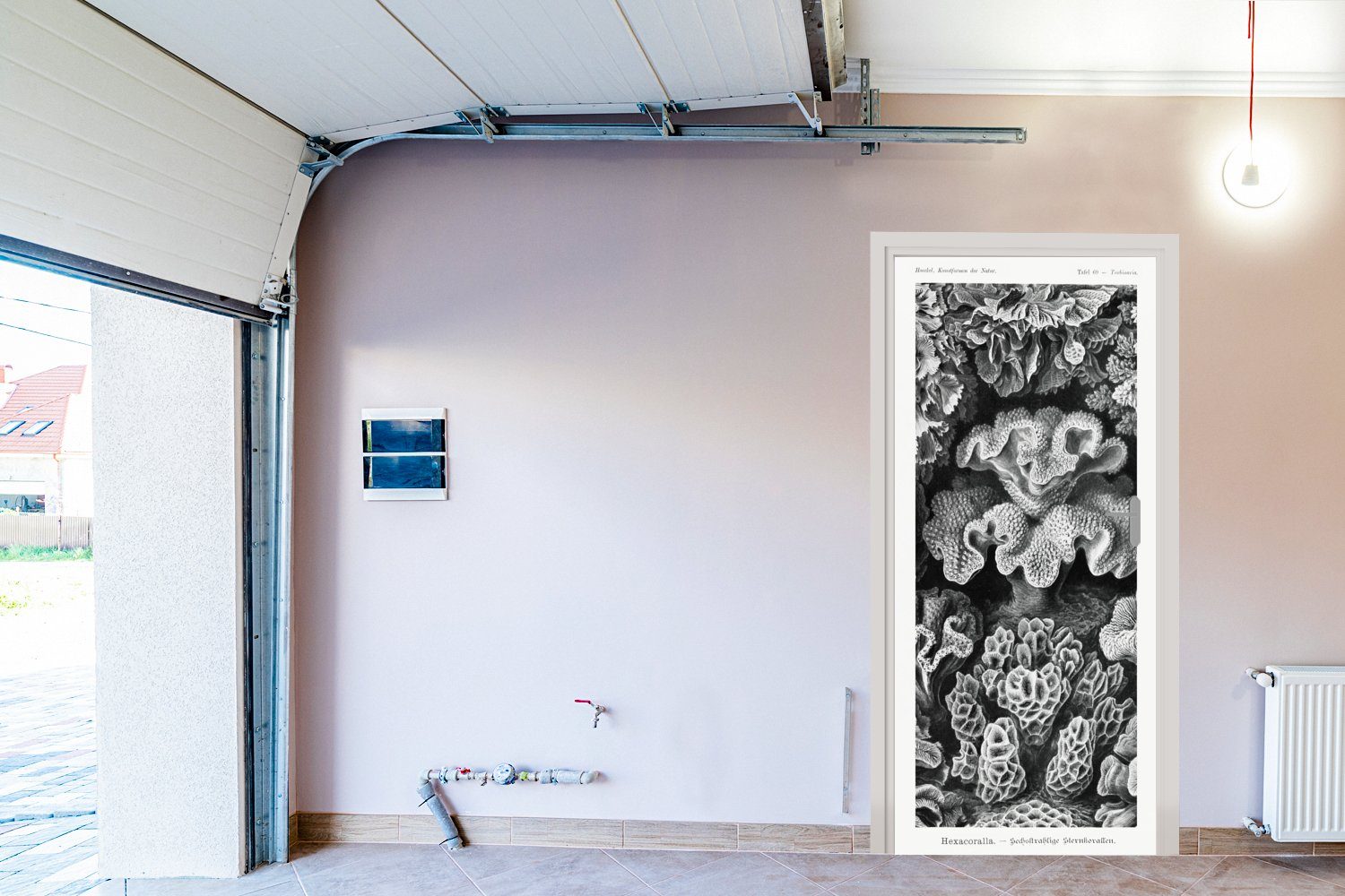 Alte - Meister Matt, St), Kunst Natur, Tür, für Ernst - - MuchoWow Koralle 75x205 bedruckt, (1 cm Türaufkleber, Haeckel Fototapete - Türtapete