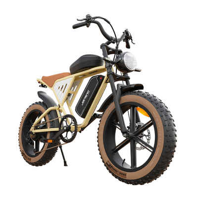 DOTMALL E-Bike JANSNO X70 Elektrofahrrad 20" für Erwachsene,Doppelbatterie 48V 34Ah