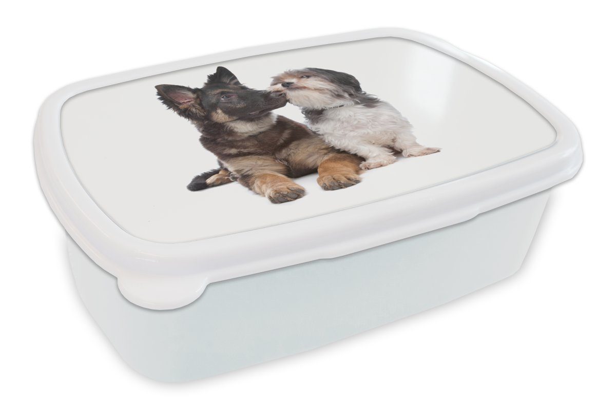 MuchoWow Lunchbox Boomer mit einem anderen Hund, Kunststoff, (2-tlg), Brotbox für Kinder und Erwachsene, Brotdose, für Jungs und Mädchen weiß