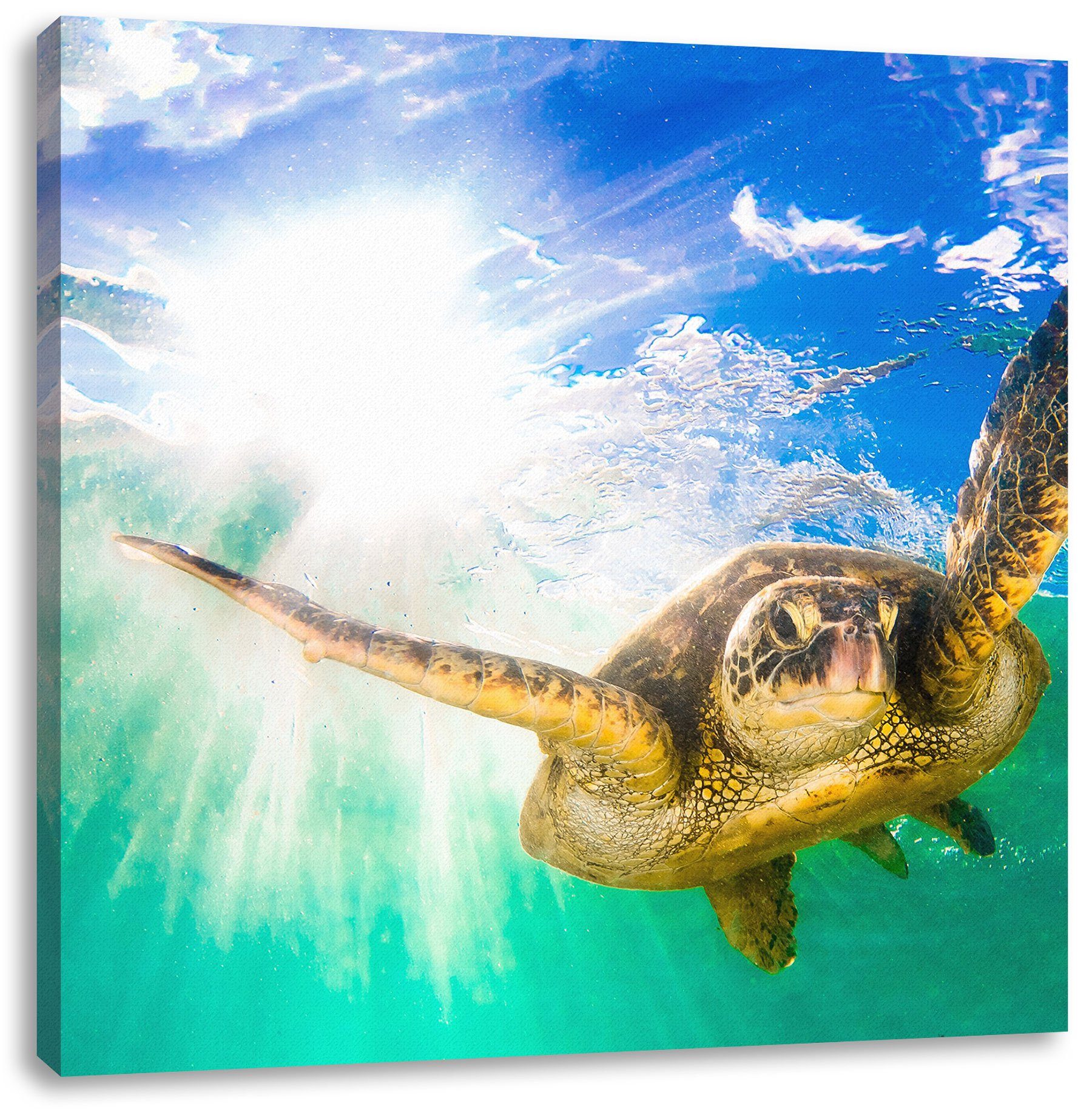 Grüne Grüne Meeresschildkröte, bespannt, Meeresschildkröte fertig (1 Zackenaufhänger Pixxprint St), Leinwandbild inkl. Leinwandbild