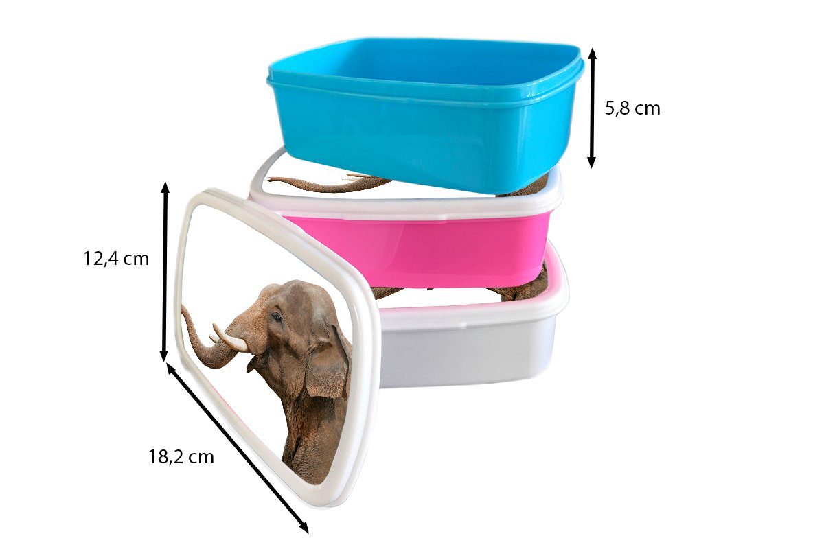 MuchoWow Lunchbox Elefant - Zähne (2-tlg), Jungs für für Weiß, Kunststoff, Brotdose, Kinder Brotbox Mädchen und Erwachsene, - und