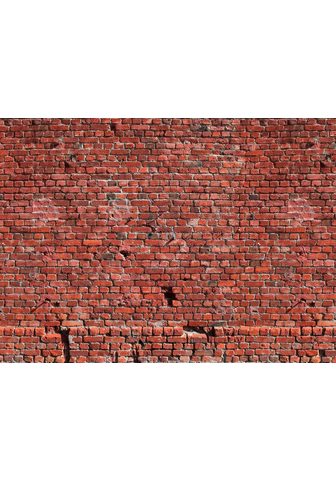  Living walls fototapetas Klinker Backs...
