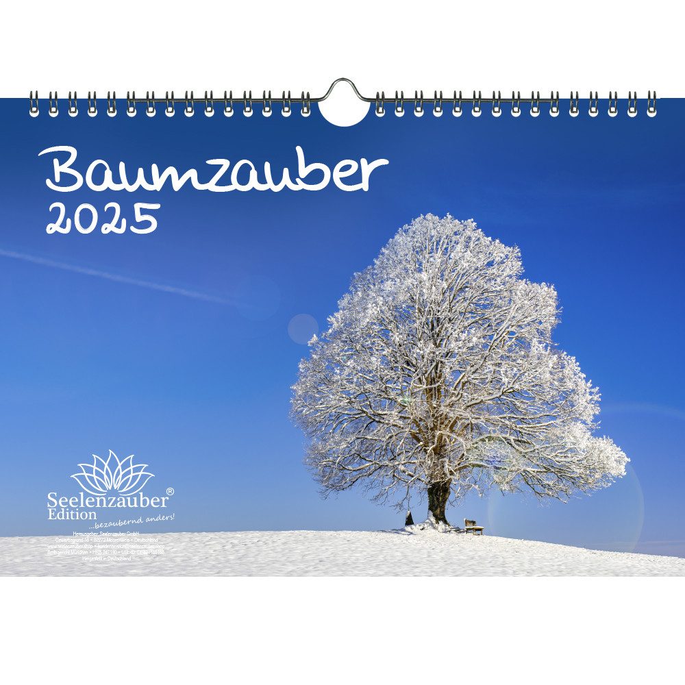 Seelenzauber Wandkalender Baumzauber DIN A4 Kalender für 2025 Baum Bäume Wald Natur