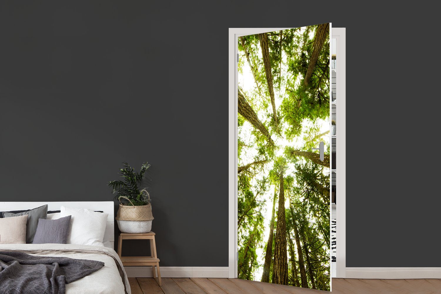 MuchoWow Türtapete bedruckt, grüne (1 Fototapete im Tür, Türaufkleber, für cm 75x205 Dschungel, St), Hohe Bäume Matt