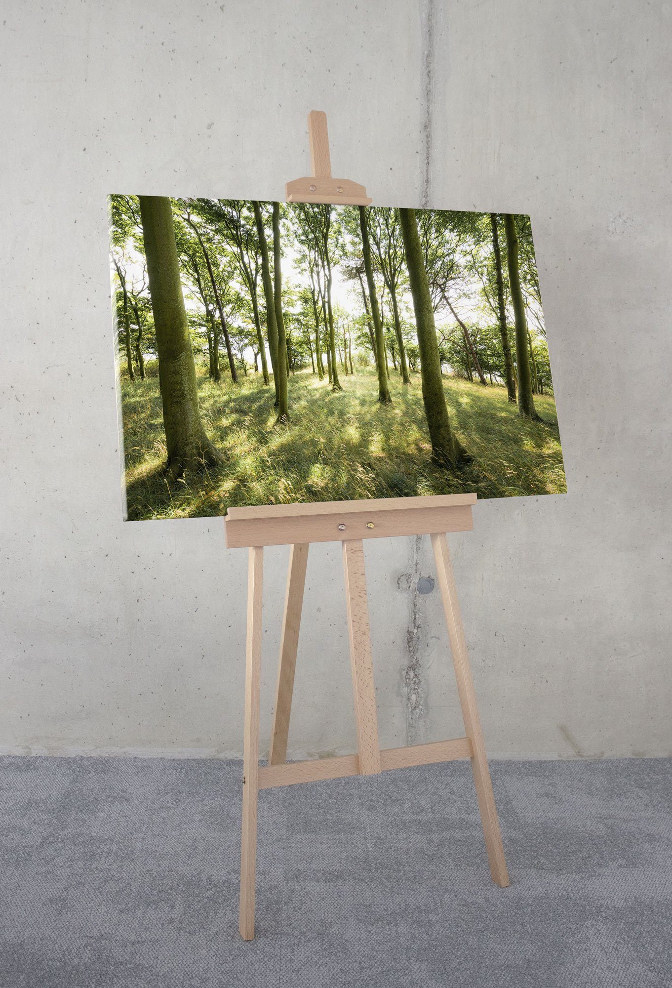 Komar Leinwandbild Dänische Buchen - Größe 90 x 60 cm, Baum, Berge, Blumen, Blätter, Foto, Jahreszeiten, Landschaft, Meer, Natur, Palmen, Strand (Packung, 1 St), Keilrahmenbild mi Echtholzrahmen