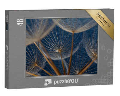 puzzleYOU Puzzle Makroaufnahme: Elemente einer Pusteblume, 48 Puzzleteile, puzzleYOU-Kollektionen Flora, Pflanzen, Blumen & Pflanzen