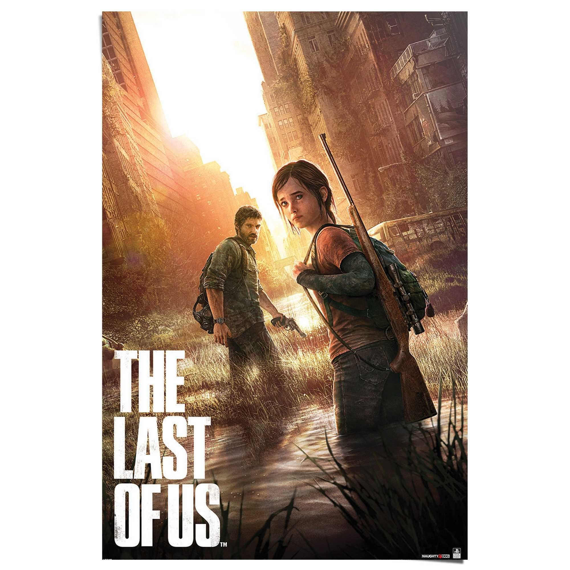 Reinders! Poster Playstation - the last of us