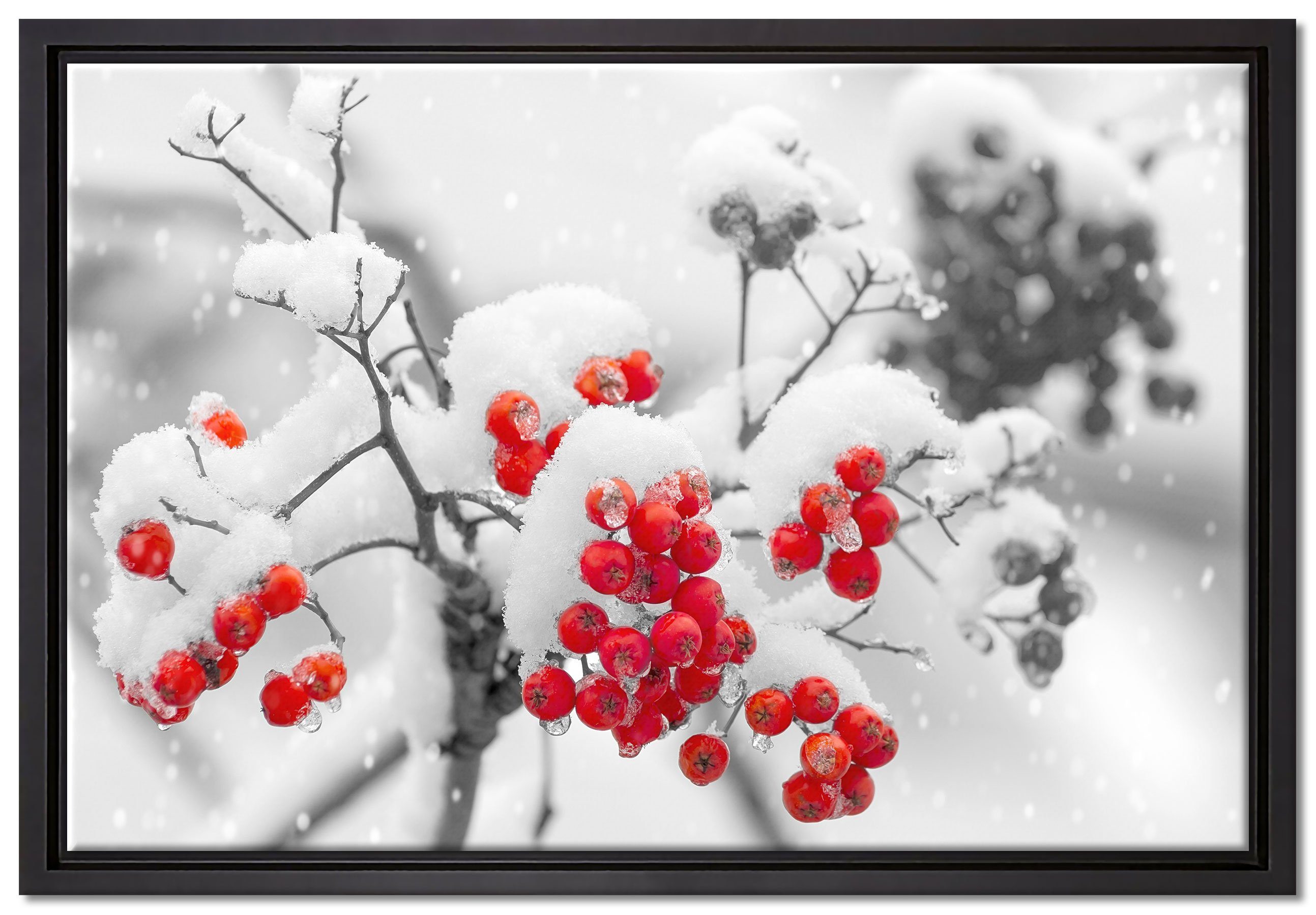 Pixxprint Rote Wanddekoration (1 einem Leinwandbild Vogelbeeren inkl. im in Winter, fertig St), bespannt, gefasst, Schattenfugen-Bilderrahmen Leinwandbild Zackenaufhänger