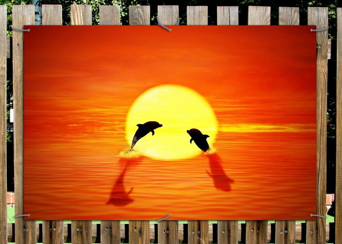 Thumbnail - Wallario Sichtschutzzaunmatten Delphine im Sonnenuntergang