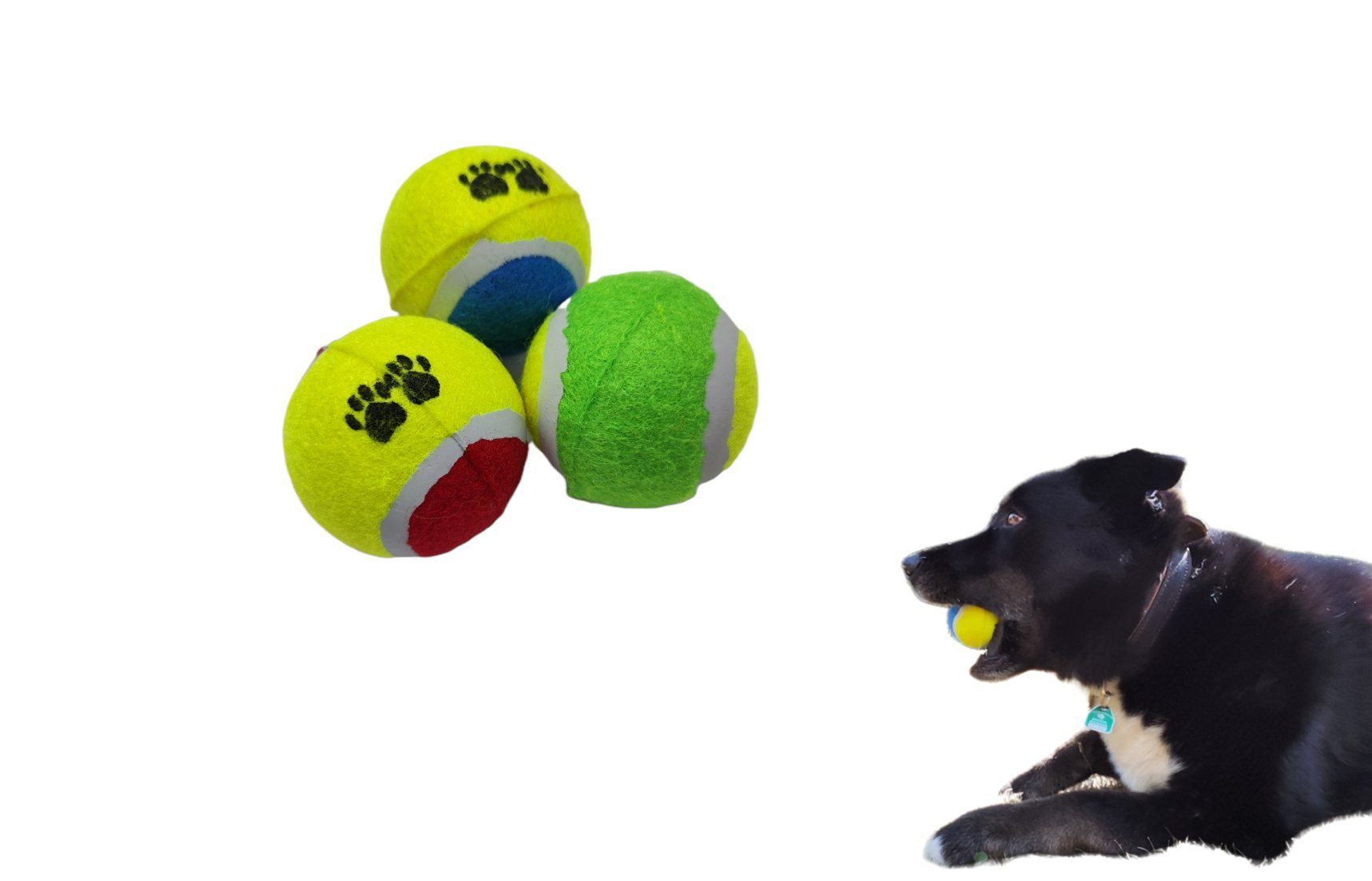 HMH-Shop Tierball Hundebälle bunt Hundespielzeug Haustier Katze Ball Spielen Hund Tennisball Dog Toys Hundeball Spaß Agility Training Ausdauer auspowern Tennisbälle Ø ~6,5cm Helle Farben gut auffindbar, Helle Farben, gut auffindbar 12 Bälle