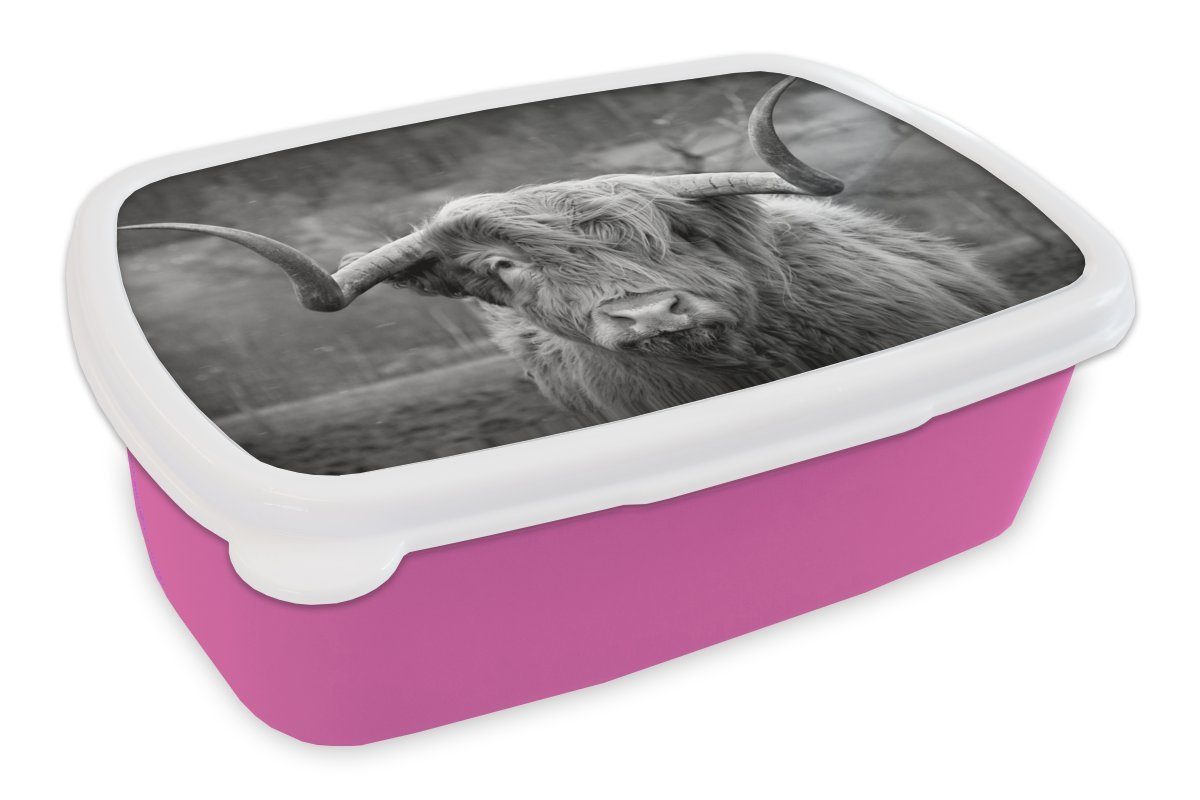 MuchoWow Lunchbox Schottischer Highlander schaut direkt in die Kamera - schwarz-weiß, Kunststoff, (2-tlg), Brotbox für Erwachsene, Brotdose Kinder, Snackbox, Mädchen, Kunststoff rosa