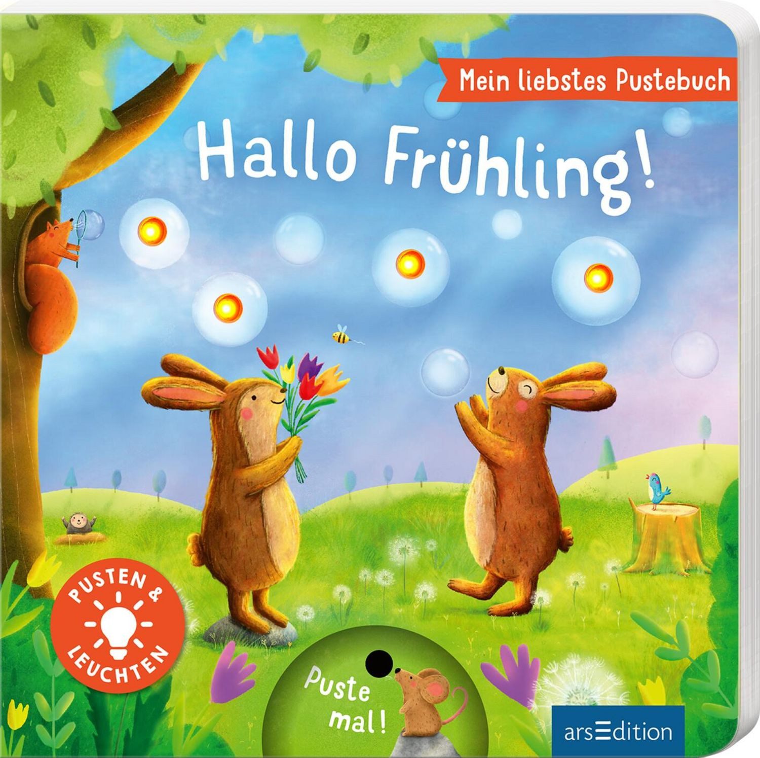 Mein liebstes Pustebuch – Hallo Frühling! / Maria Höck