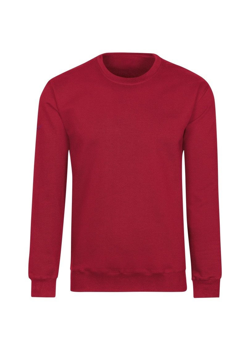 Trigema Sweatshirt TRIGEMA Sweatshirt aus Biobaumwolle günstig online kaufen