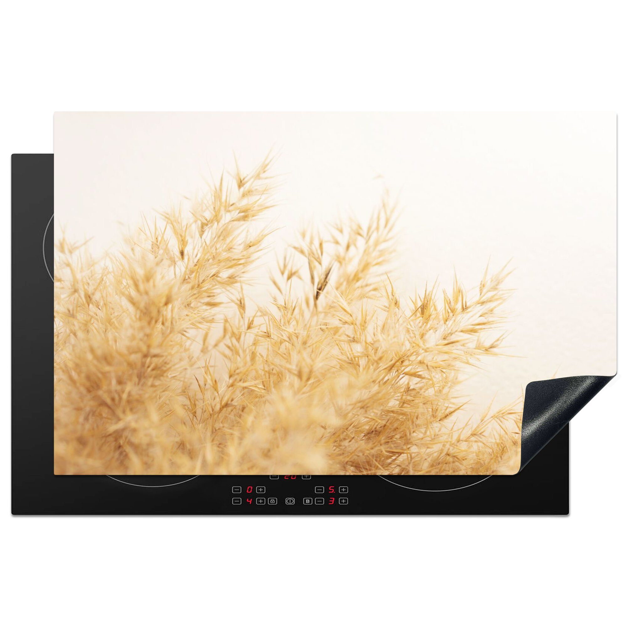 MuchoWow Herdblende-/Abdeckplatte Pampasgras - Sonne - Gras, Vinyl, (1 tlg), 81x52 cm, Ceranfeldabdeckung, Arbeitsplatte für küche