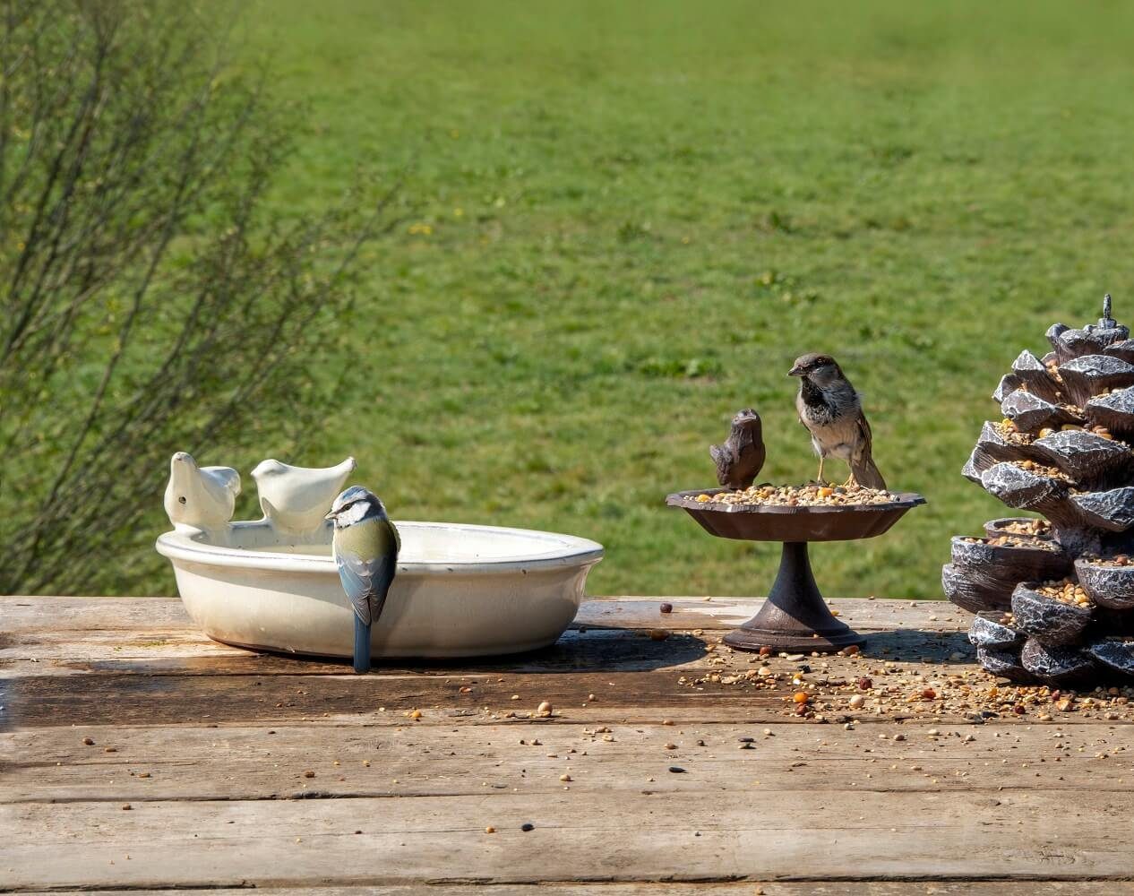 esschert design Vogeltränke Esschert Design Vogeltränke auf Fuß Becken Futter Garten Gusseisen
