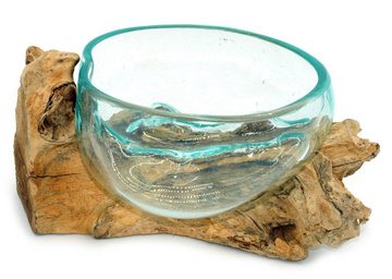 Gedeko Dekoschale Glasschale auf Wurzelholz, Holzdeko, Glasdeko kleine Glasschüssel Schale, Ø ca. 12-13 cm