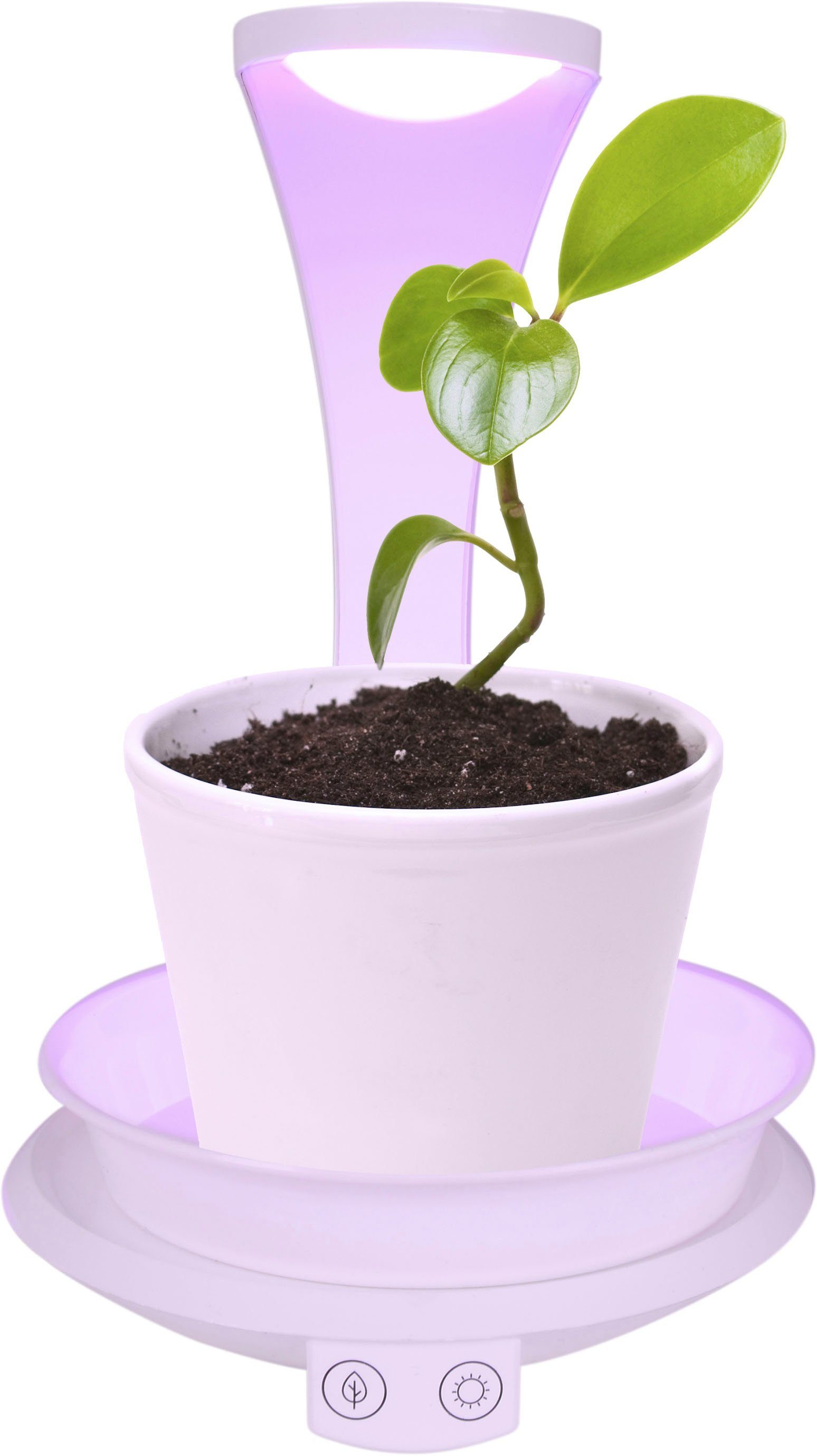 integriert, LED (lila) und Wachstumsleuchte, Neutralweiß, Neutralweiß, USB-Anschluss Grow näve fest Pflanzenlicht Ladefunktion, Light, LED mit USB-Kabel Tischleuchte