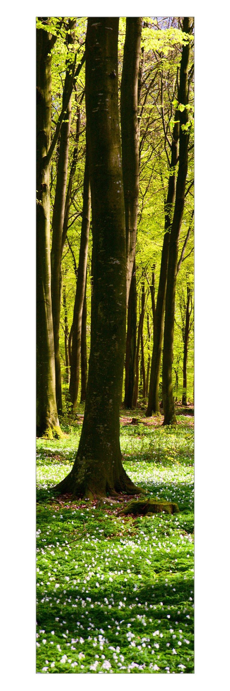 Bilderdepot24 Schiebegardine modern Flächenvorhang blickdicht Waldwiese (1 St), halbtransparent, Wohnzimmer große Flächengardine lichtdurchlässig für Klemm-System