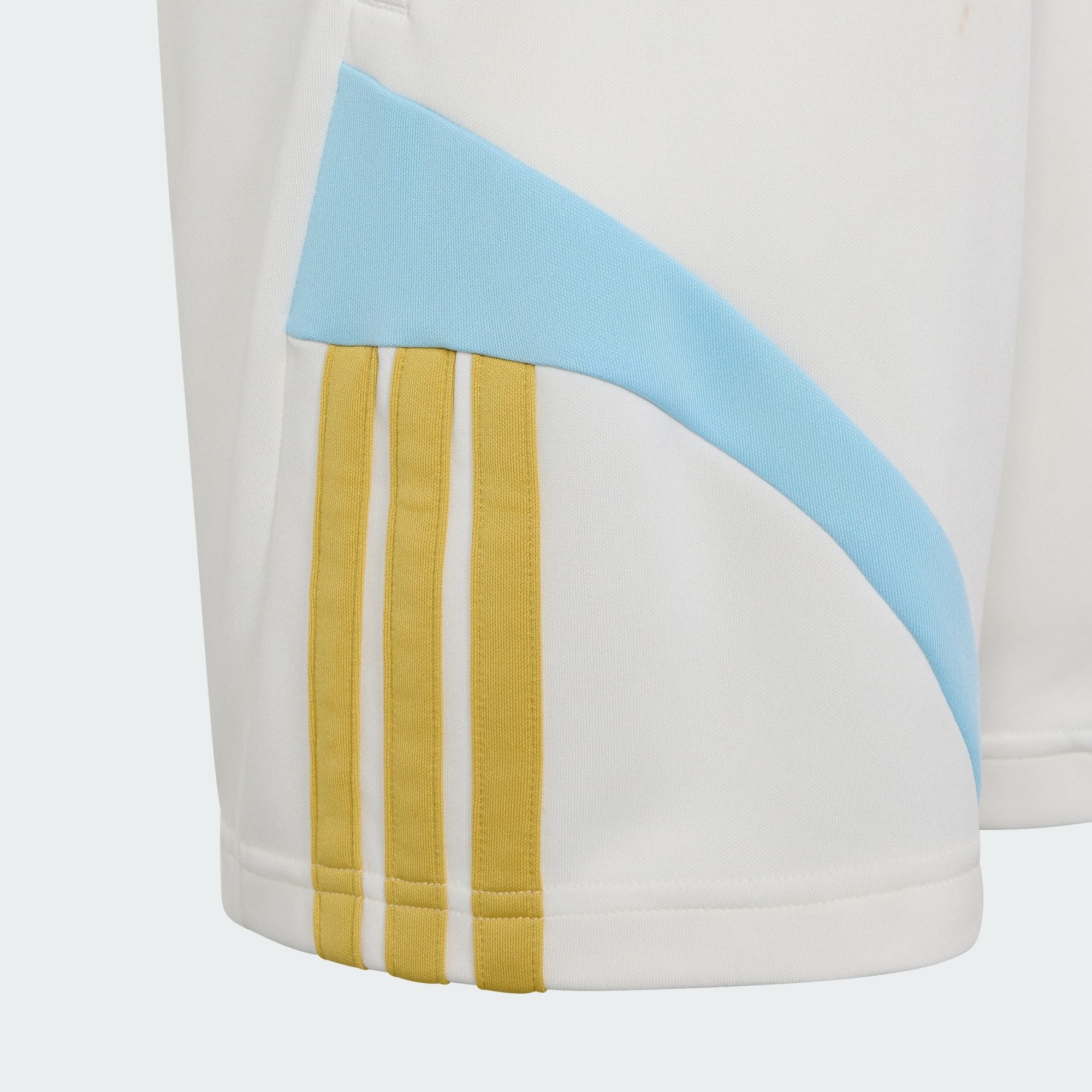 adidas Performance Shorts MESSI HOUSE OF TIRO KIDS SHORTS (1-tlg)