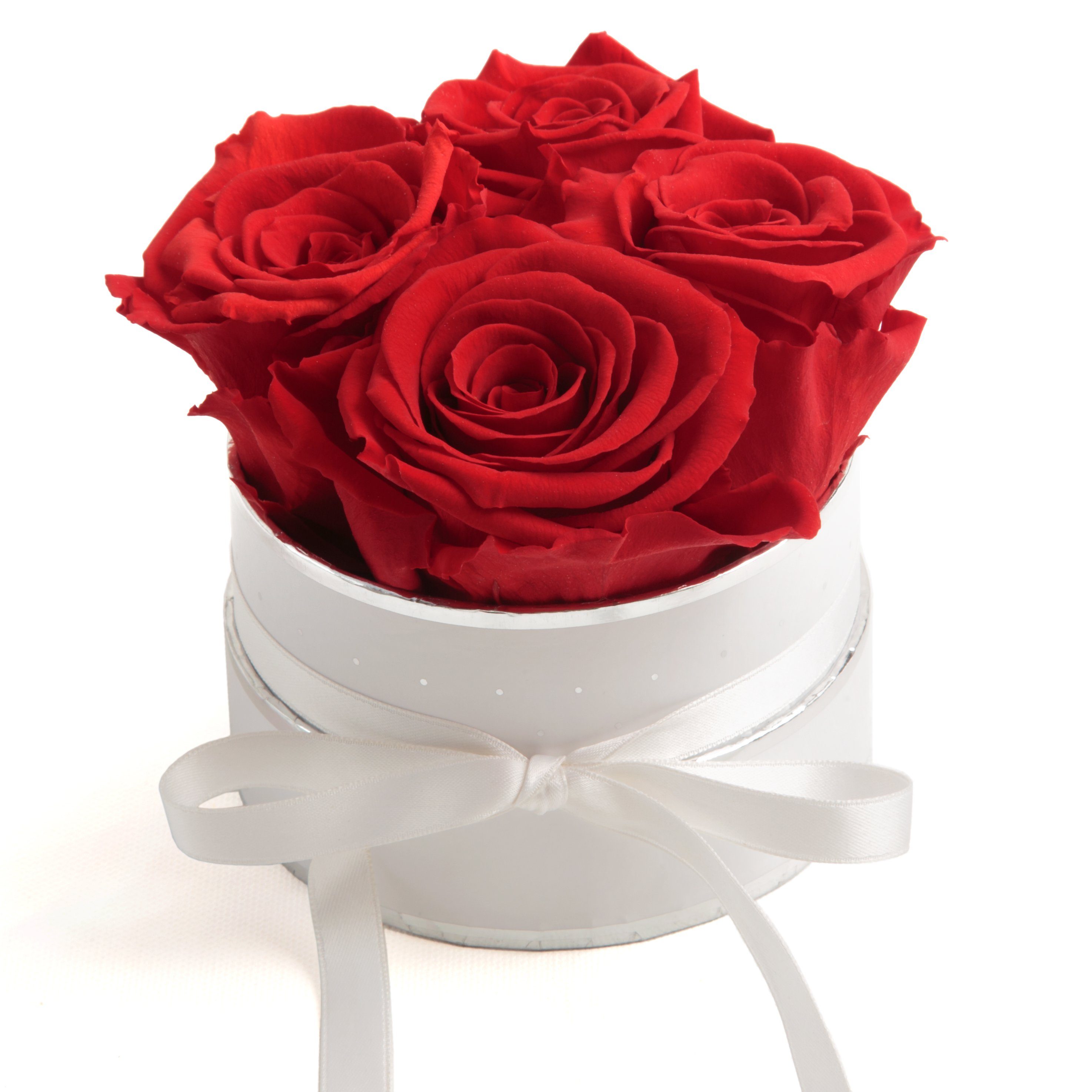 10 cm, konservierte rund inklusiv haltbar Höhe 3 Heidelberg, 4 Rosen Rose, Rosen Rosenbox echte Kunstblume SCHULZ Rot ROSEMARIE weiß Infinity Jahre Geschenkbox
