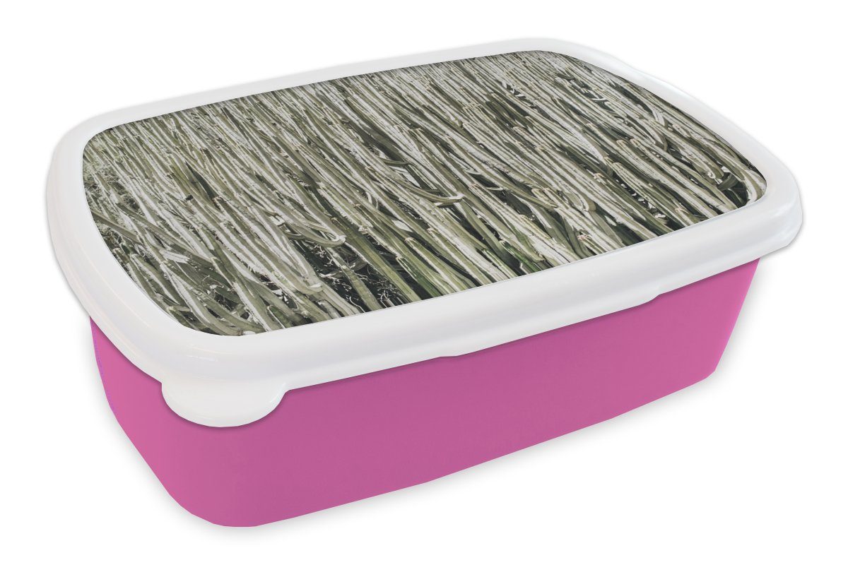 MuchoWow Lunchbox Kaktus - (2-tlg), Snackbox, Sukkulenten, Mädchen, Kunststoff Brotbox für Kinder, Brotdose rosa Natur - Erwachsene, Kunststoff