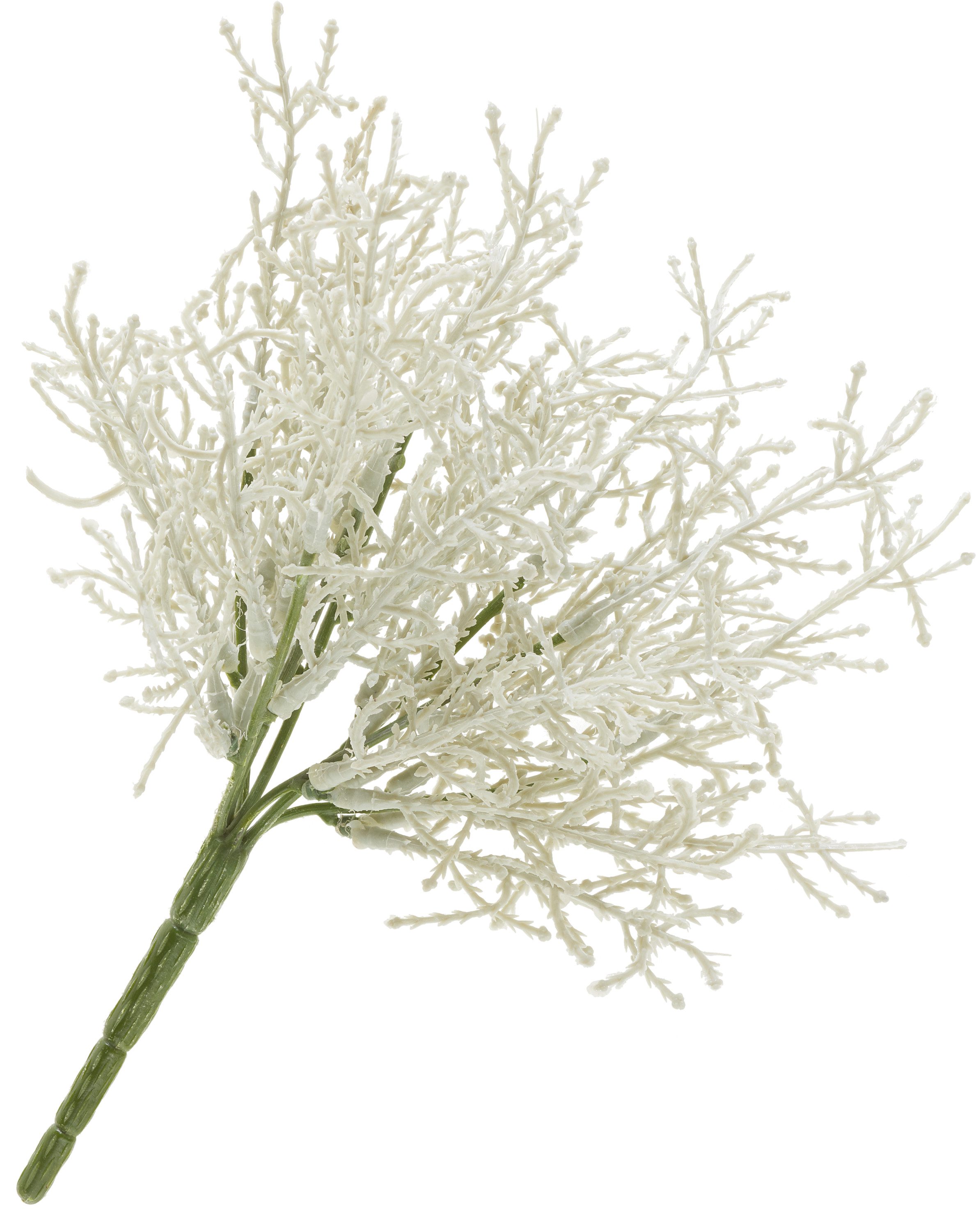 Kunstzweig Calcephalus Pick, DPI, 27cm